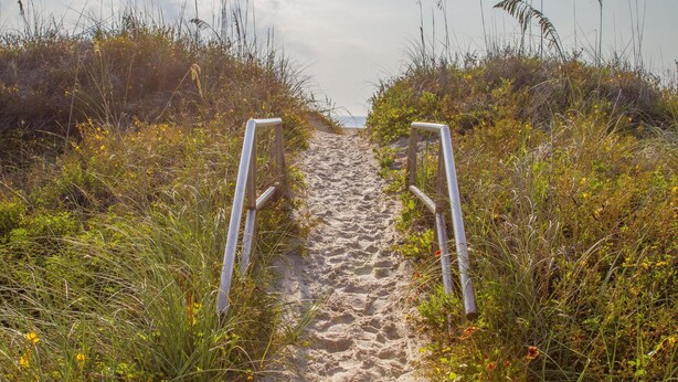 A sandy path leading to a beach, flanked by tall grasses and wildflowers. - Beach Villa ~ Pet Friendly ~ Fenced Yard ~ Steps to the Beach!!! (Saint Augustine)
