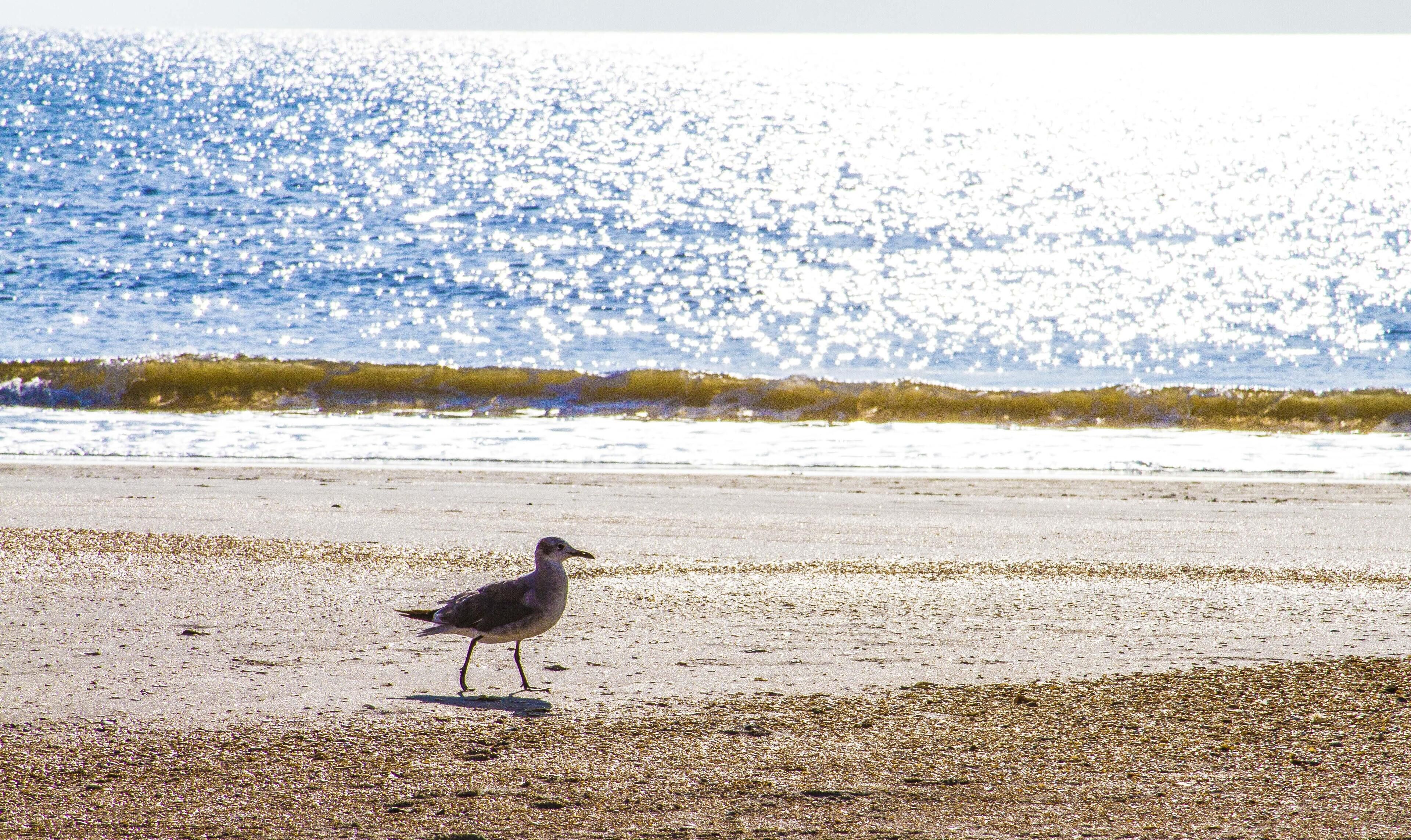 Vlak bij het strand