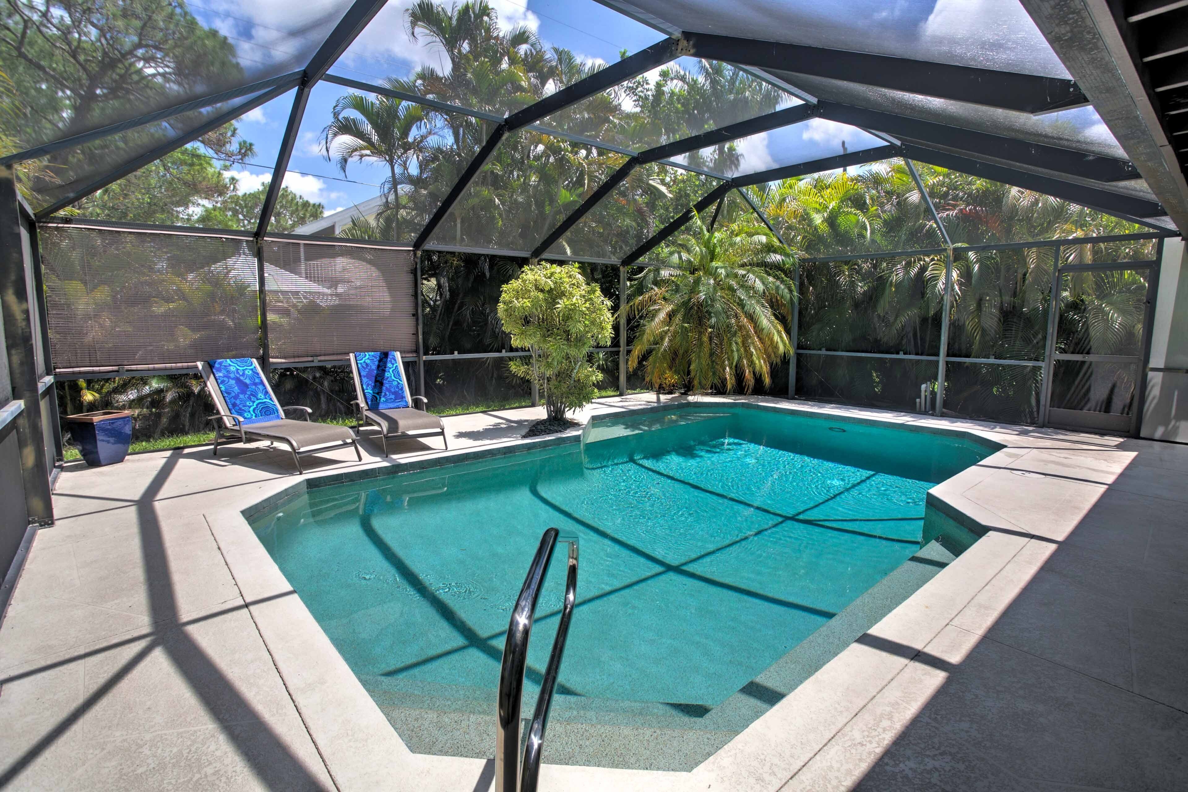 A covered swimming pool with lounge chairs and a palm tree.