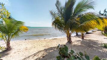 Playa en los alrededores