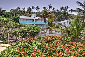 Situated on a hillside, this property offers a serene escape surrounded by lush greenery and vibrant plant life.