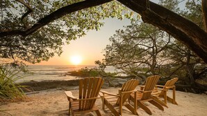 Escena de playa con sillas de madera bajo un árbol, con vista al océano al atardecer.