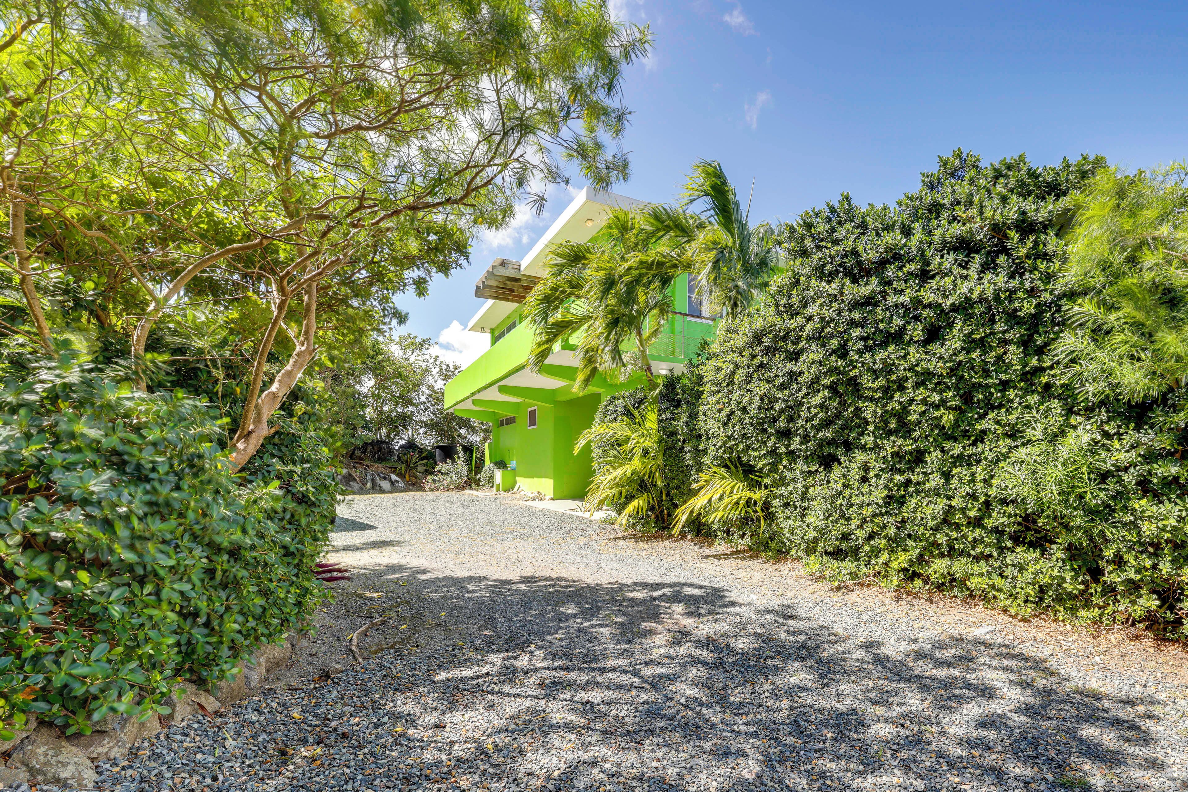 A pathway leading to a green building surrounded by dense foliage.