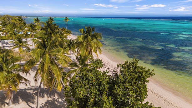 Ein Strand mit klarem türkisblauem Wasser, Palmen und einem Sandstrand.