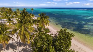 A beach with clear turquoise water, palm trees, and a sandy shore.