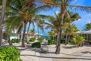 Property grounds - Kozy Kai - Sealodge 17 - Romantic Beachfront cottage by Cayman Villas! (Cayman Kai)
