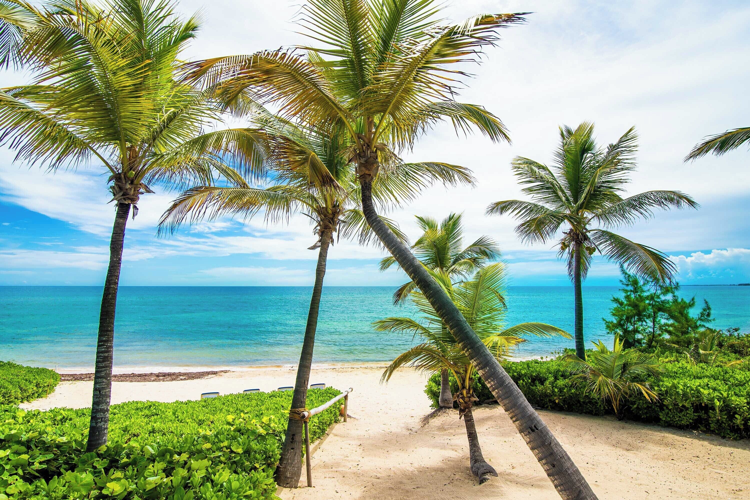 En la playa, camastros y toallas de playa 