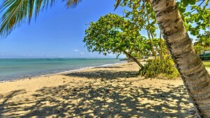 Une plage avec une eau d’un bleu limpide, un rivage sablonneux et un palmier.