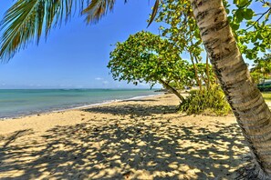 Playa en los alrededores 