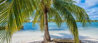 Villa Bellagio-Beautiful Beachfront Beach Home in Cayman Kai with large pool