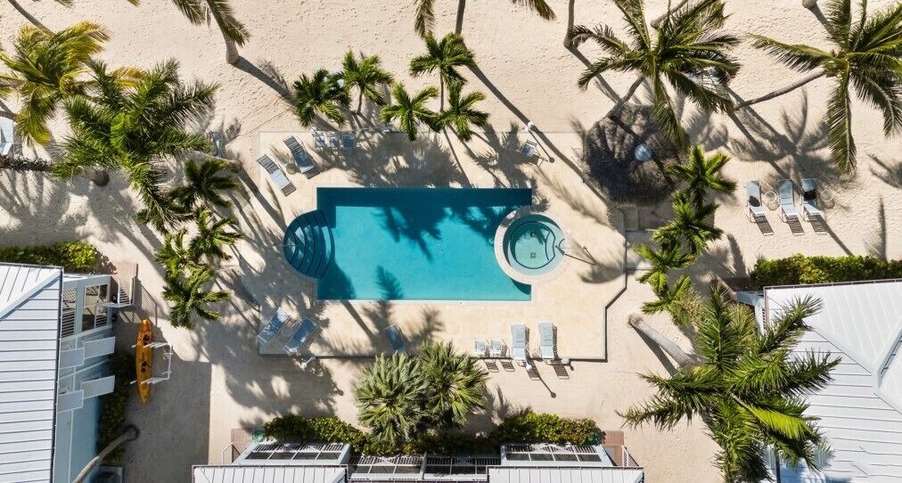 Une vue aérienne d’une piscine entourée de palmiers et de chaises longues.