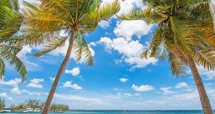 Kaibo Yacht Club 9C-Perfect for a beachfront family stay-call Cayman Villas!
