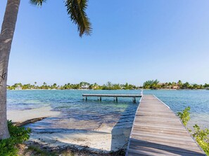 A wooden pier extending into clear blue water, surrounded by palm trees and a distant shoreline with buildings.