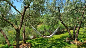 Un'amaca sospesa tra gli alberi in un rigoglioso giardino.