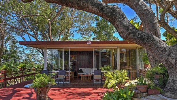 A modern house with a glass facade, a red deck, and various potted plants. - Tropical Ponce Home: Private Pool & Outdoor Oasis! (Ponce)