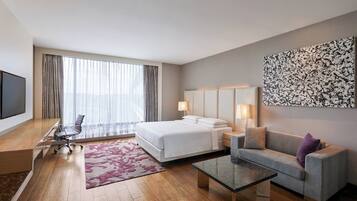 Studio, 1 King Bed, City View