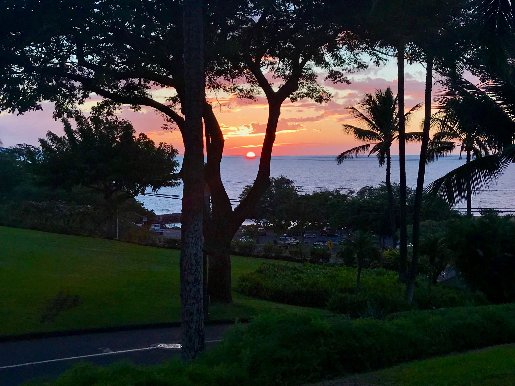 A sunset view with trees and a road.