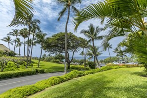 Paesaggio verdeggiante con palme, una strada sinuosa e vista sull'oceano.