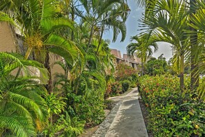 Property grounds - Beachfront St Croix Condo w/ Pool + Lanai! (Christiansted)