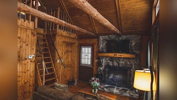 Smart TV, chimenea y reproductor de DVD