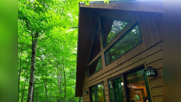 Une cabane en bois dotée d’une terrasse, de grandes fenêtres et offrant une vue sur une forêt.