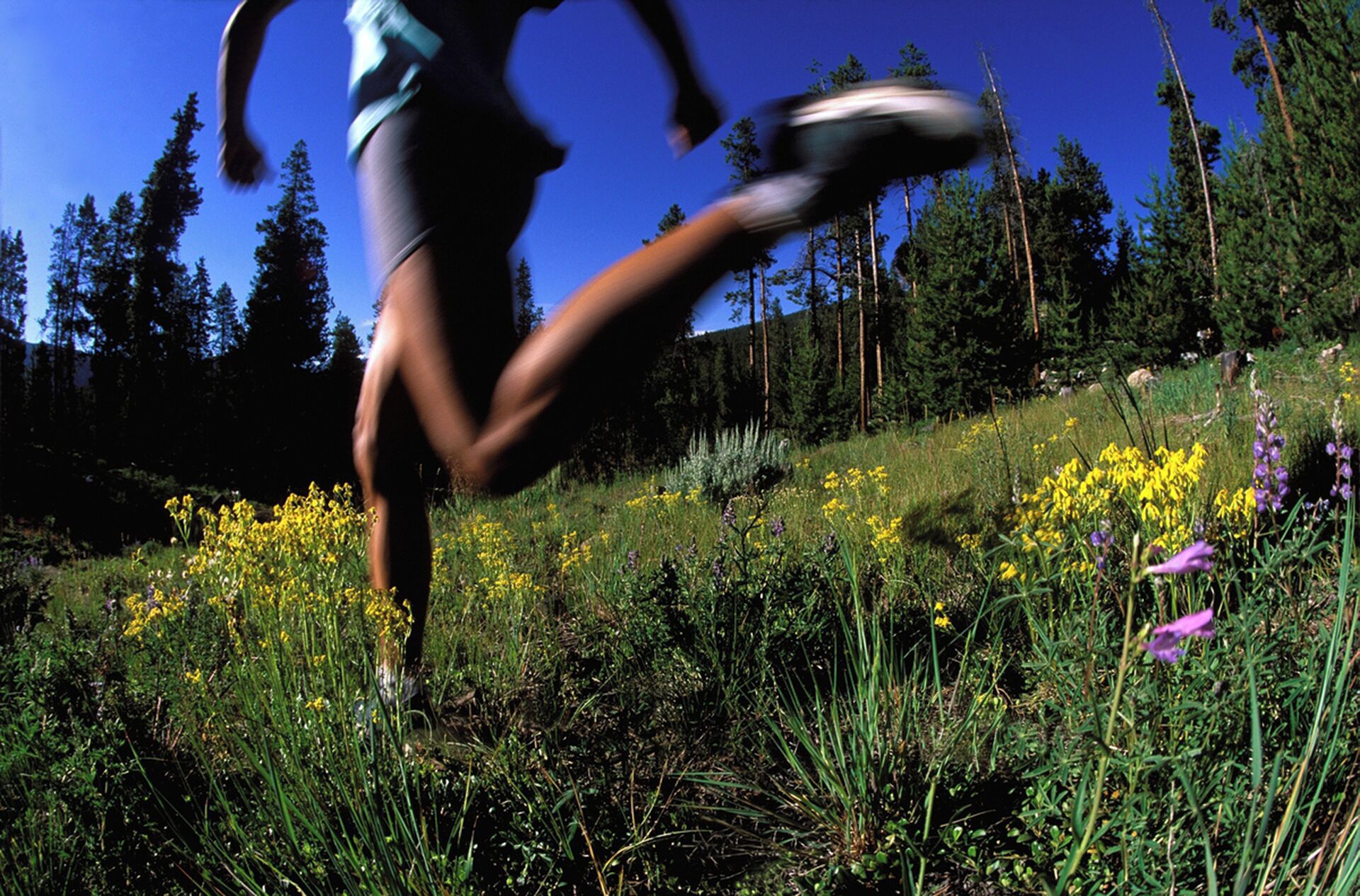 A person running through a field with wildflowers and trees in the background.