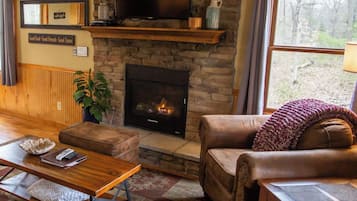 Smart TV, chimenea y reproductor de DVD