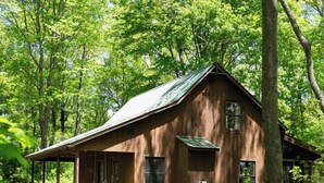 A rustic wooden cabin surrounded by dense forest.