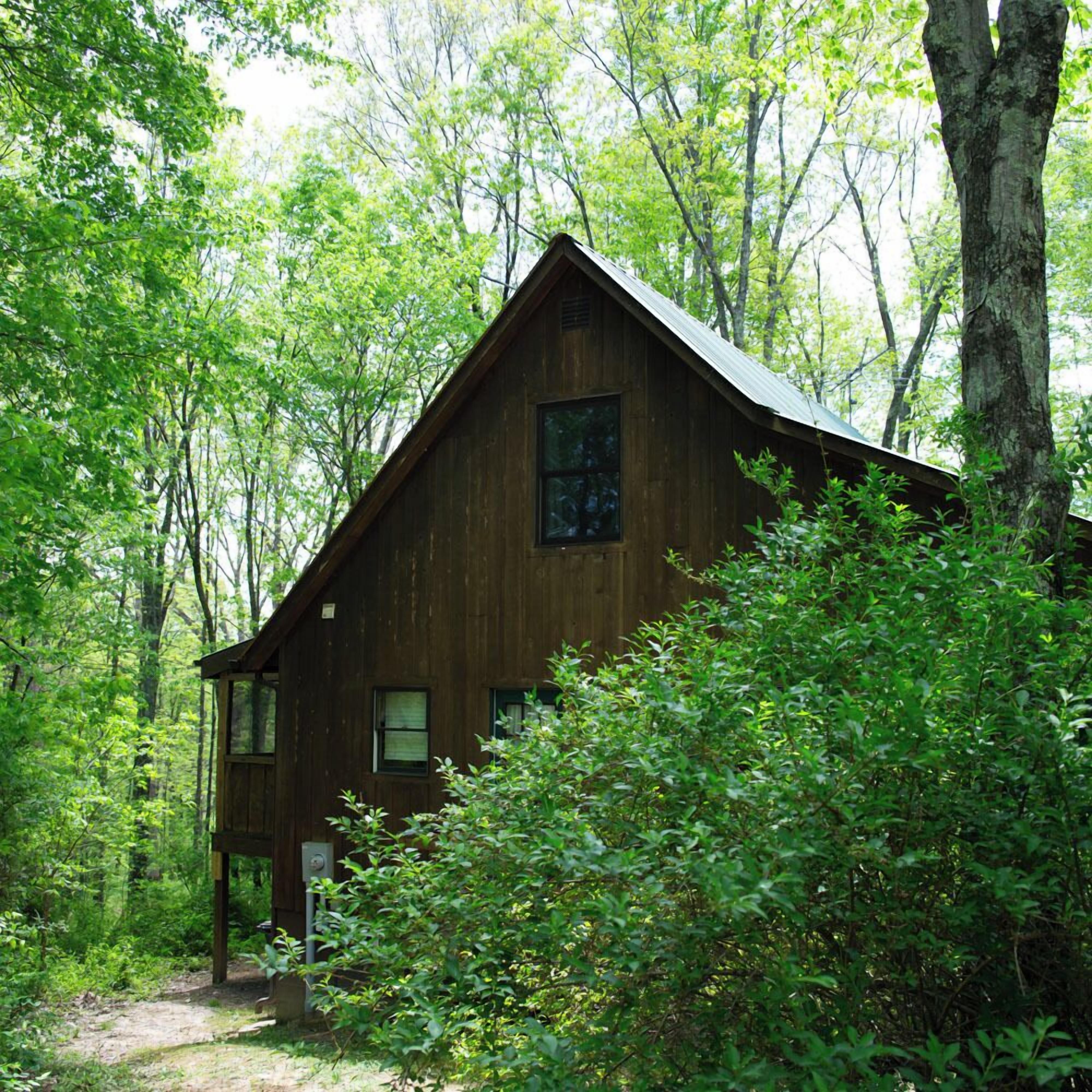 A rustic wooden cabin surrounded by dense forest.