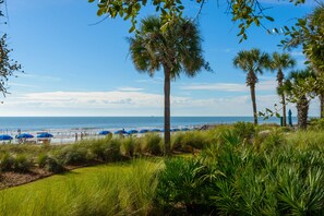 Relax on the beach with a clear view of the ocean, surrounded by palm trees and lush greenery.