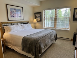 Internet, wheelchair access