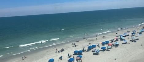 On the beach