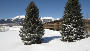A snow-covered landscape with two tall evergreen trees and a building with balconies in the background. - On Lake, Views! Walk to Amphitheater, Marina, Dining. End Unit, Deck (Dillon)