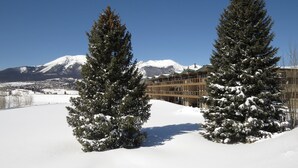 A snow-covered landscape with two tall evergreen trees in the foreground and a building with balconies in the background. - On Lake! Views, 1st Floor, Hot Tub! Walk to Amphitheater, Marina, Dining (Dillon)