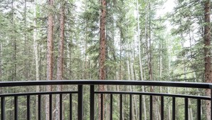 A forested area with a metal railing in the foreground. - 3-Bedroom Private Mountainside Condo (Mountain Village)