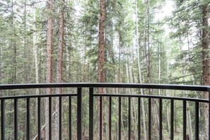 Property grounds - 3-Bedroom Private Mountainside Condo (Mountain Village)