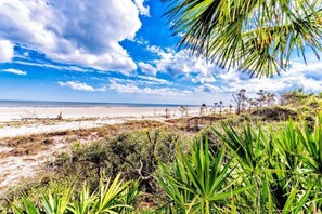 Escape to a serene beachside haven surrounded by lush palm trees and agave plants.
