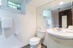 Hair dryer, towels - Clean, Spacious Suite in Prime Riverside Location (Telluride)