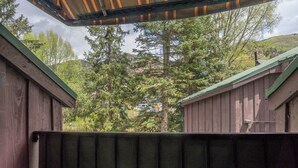 A wooden building with a green roof, surrounded by trees and a view of a hill. - Cozy Private Lofted Room in Great Telluride Location (Telluride)