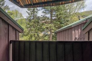 A wooden building with a green roof and a metal gate. - Cozy Private Lofted Room in Great Telluride Location (Telluride)