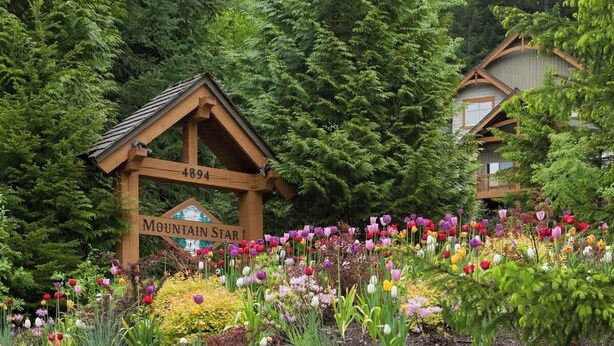 A wooden sign with '4894' and 'MOUNTAIN STAR' text, surrounded by a colorful flower garden.