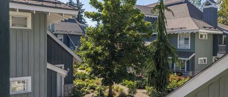 Un quartier résidentiel avec des maisons, un arbre et un chemin pavé de pierres.