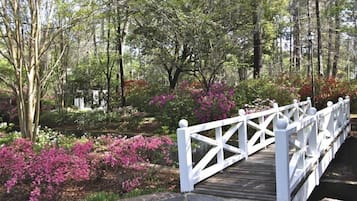 Un pont en bois avec des garde-corps blancs, situé dans une zone boisée où poussent des arbustes à fleurs roses.