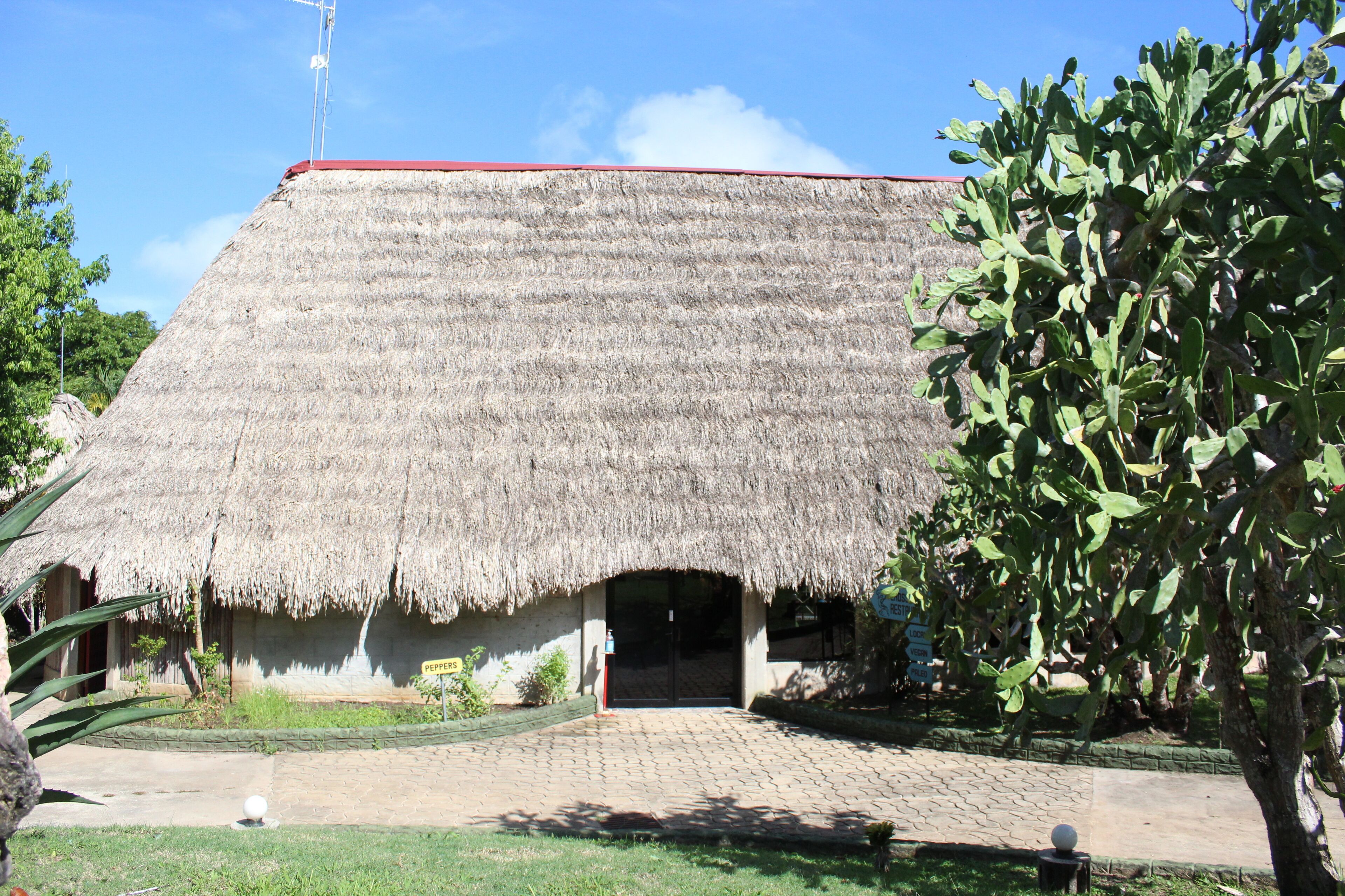 A thatched-roof building with a red roof, a paved entrance, and a small garden area with a tree.