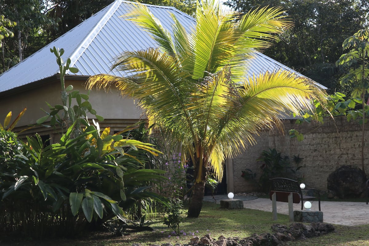 Un edificio con techo metálico, rodeado de exuberante vegetación, incluyendo una palmera y diversas plantas.