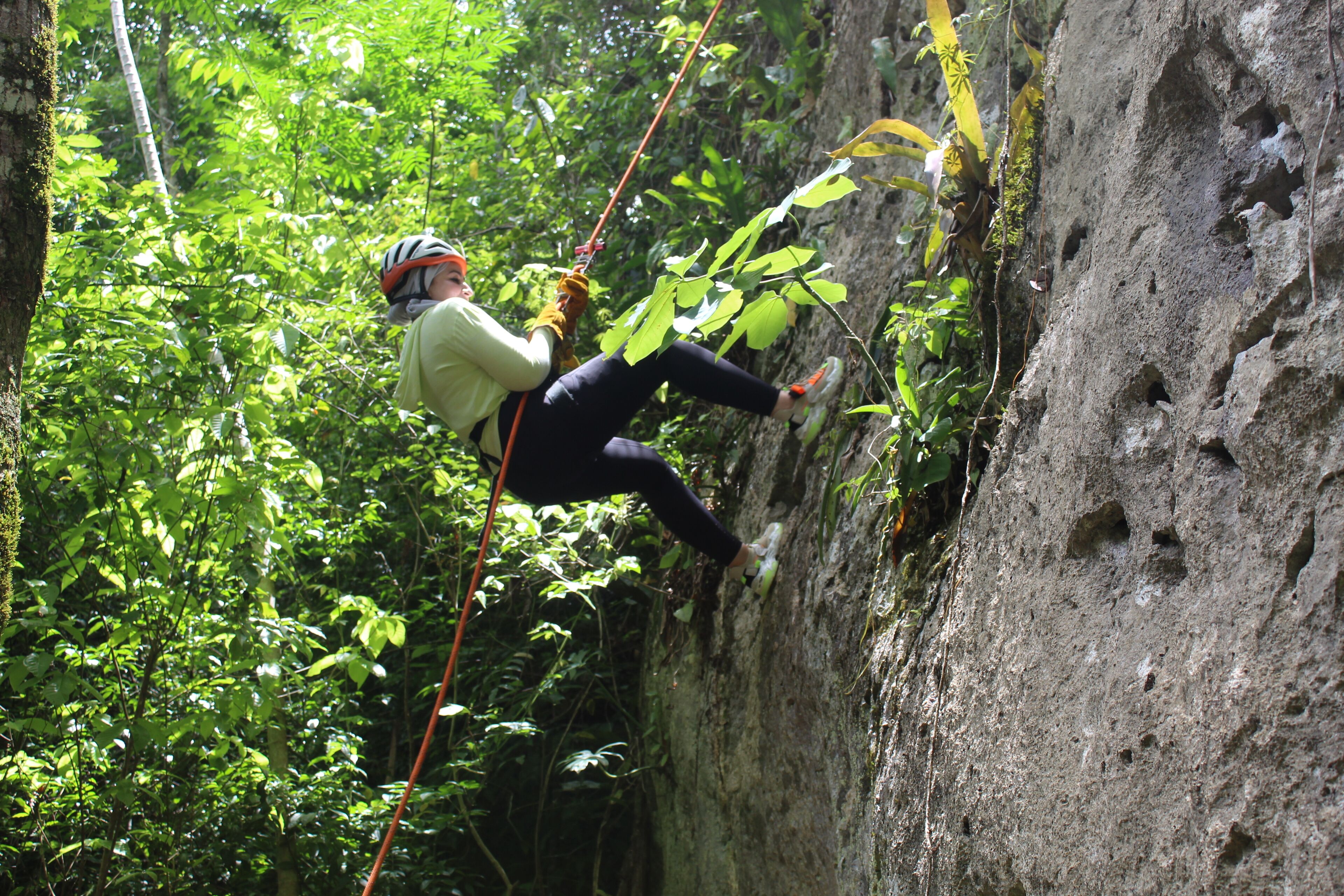 A person climbing a rock wall in a forested area.