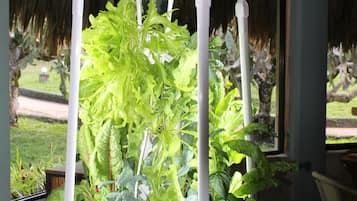 Se sirven desayunos, comidas, cenas y cocina local e internacional