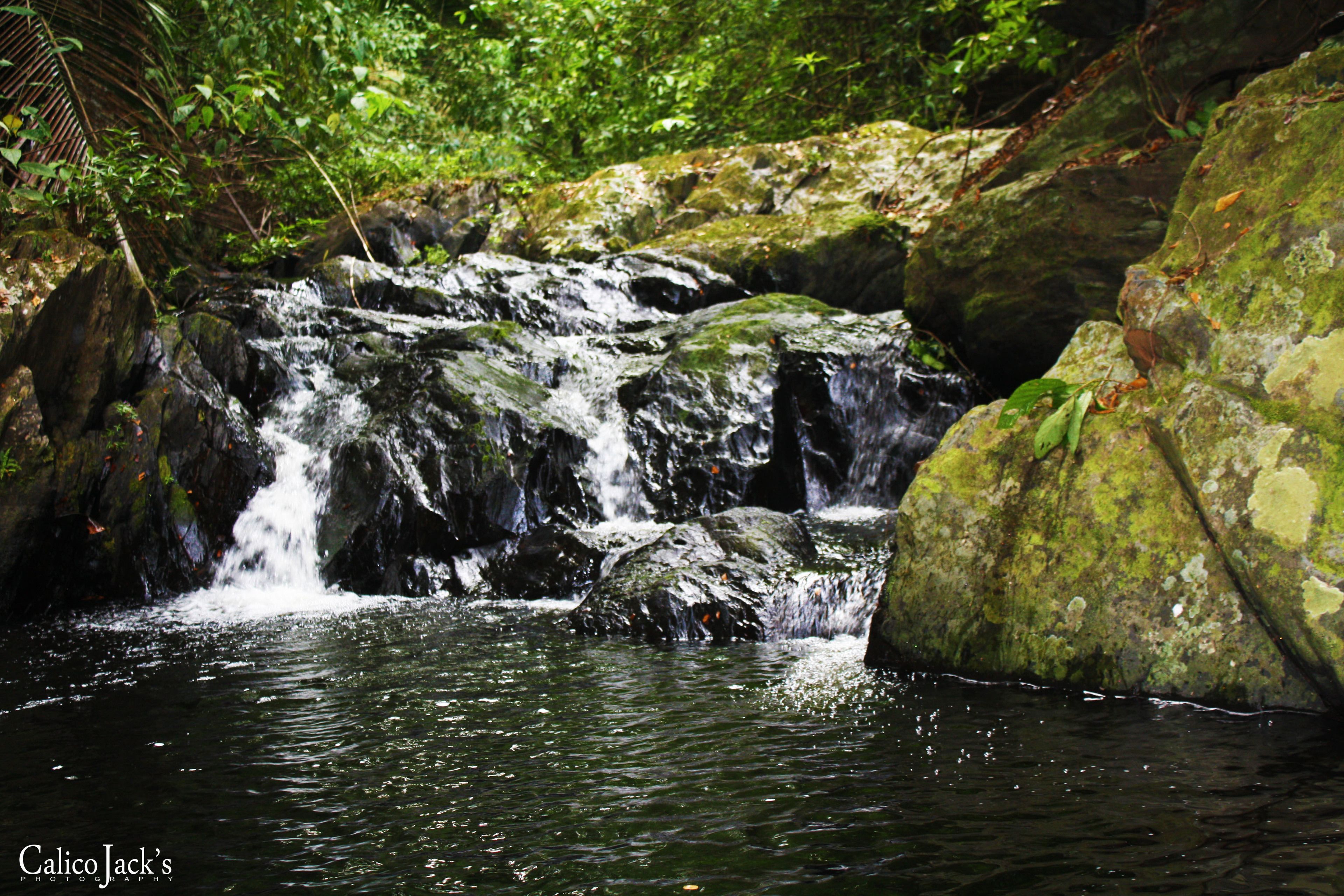 A natural water feature with a cascading waterfall surrounded by rocks and greenery.