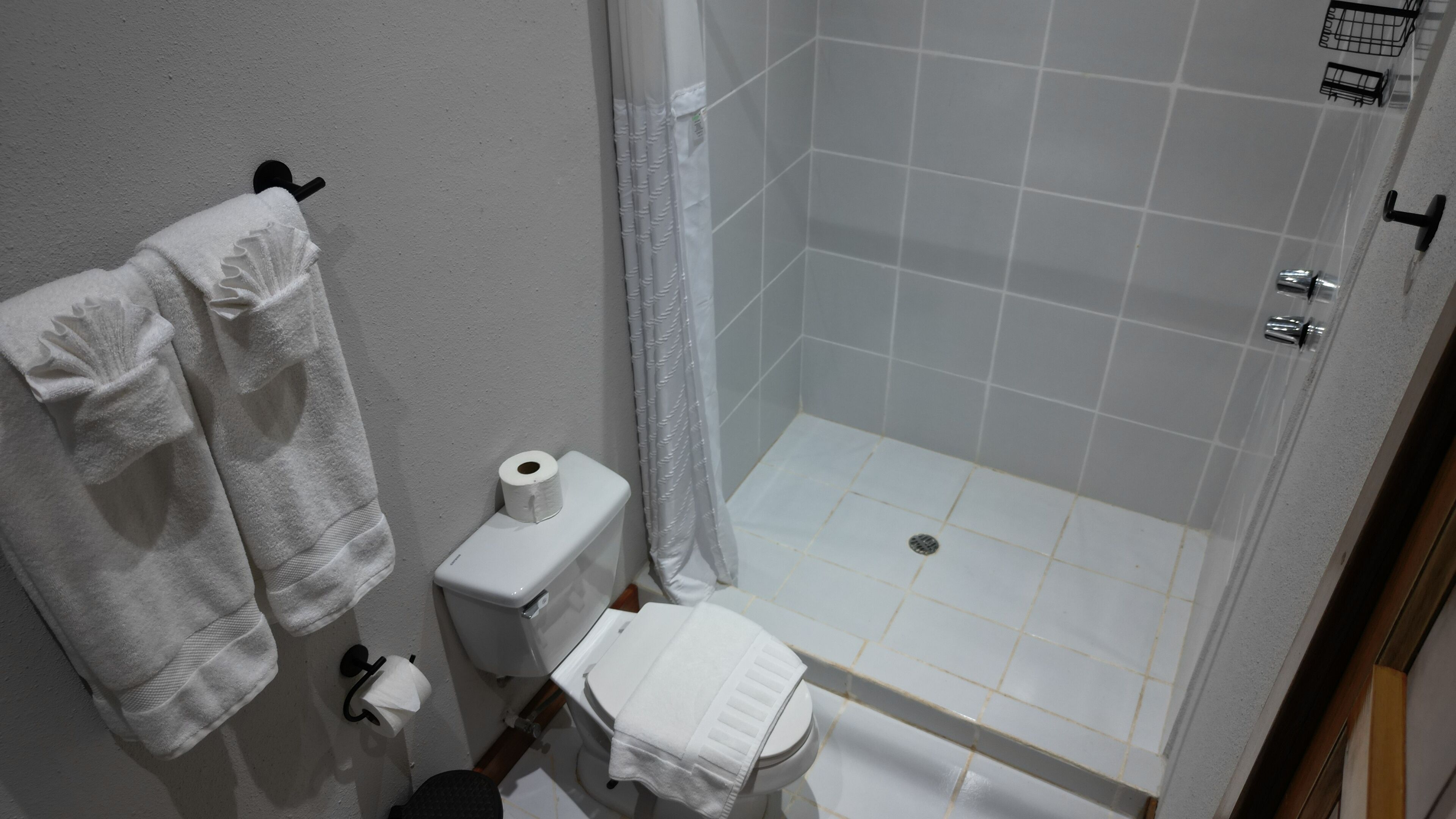 A bathroom with a shower, toilet, and two towels hanging on a rack.