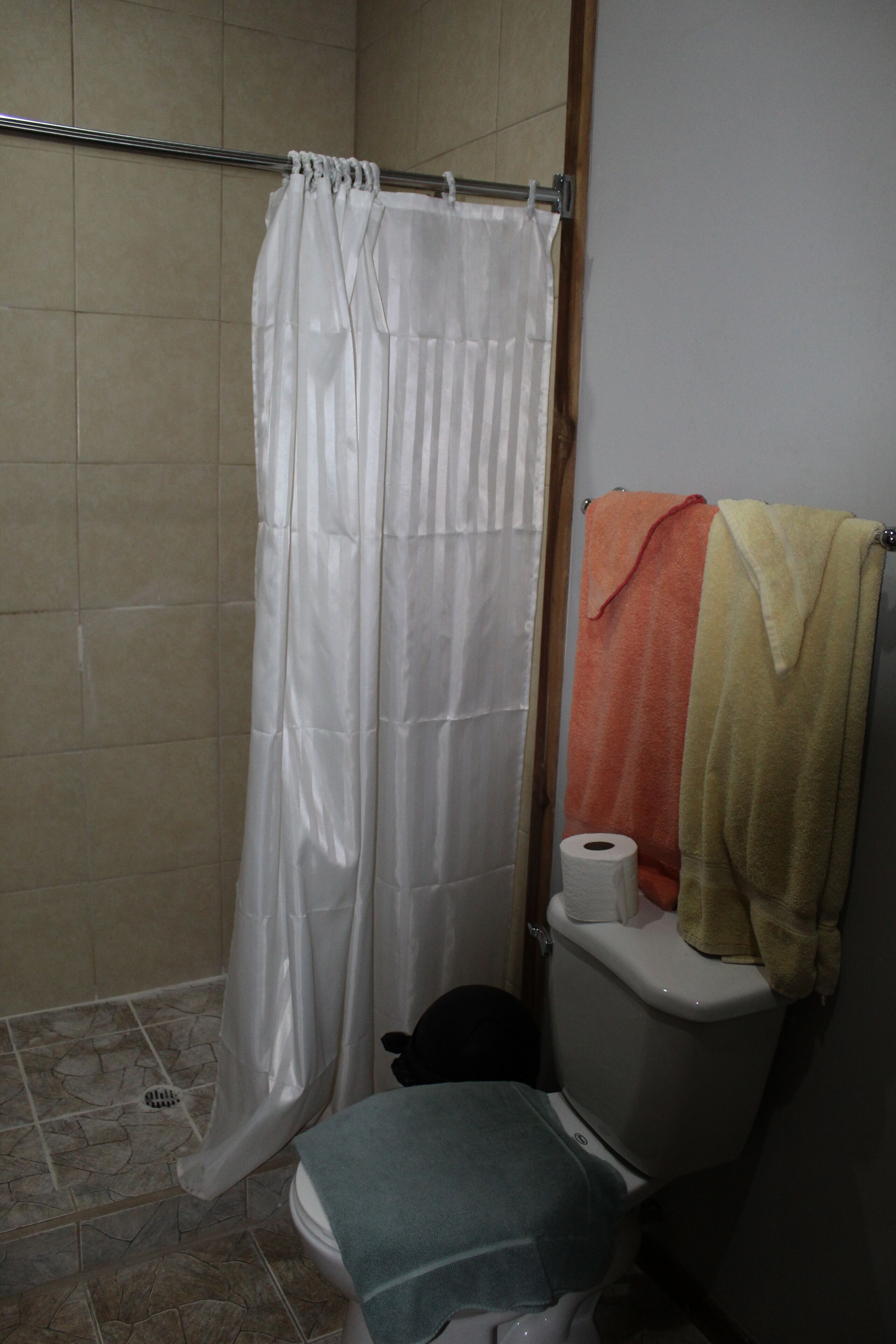 Un baño con cortina de ducha, un inodoro y dos toallas colgadas en la pared.